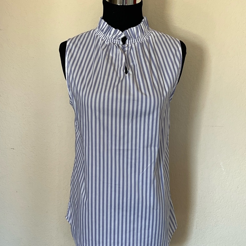 Banana Republic Blue and White Striped Blouse